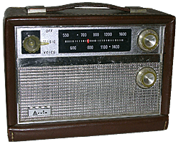 Click here to begin the Time Capsule Quiz!